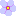 フロックス紫