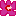 ムクゲ　紫