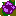 バラ