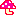 きのこ
