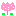 チューリップ