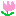 チューリップ