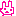 うさぎ