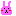 兎