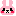 ウサギ⑤