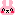 ウサギ⑥
