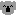 koala1