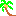 coconuts tree