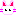 うさぎ
