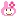 うさぎ