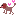 犬