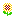 ひまわり
