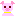 ぶた