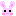 うさぎ