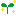 はっぱ