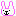 うさぎ