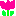 チューリップ