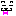 犬