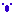 コアラ
