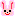 うさぎ