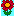 Blume