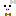 ブタウサギ