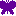 蝶1