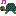カメ