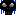 骸骨