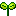 芽
