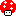 キノコ