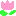 チュ→リップ