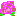 病気のバラ