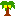 ヤシ