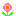 フラワー