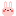 うさぎ