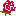 激情