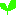 草