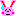 うさぎ