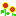 ひまわり
