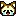 レッサーパンダ