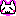 ♥ゆるネコ♥