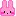 usagi
