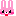 うさぎ