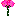 カーネーション