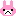 リラウサギ