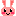 うさぎ
