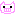 豚