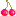 ♪さくらんぼ♪