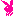 purebo